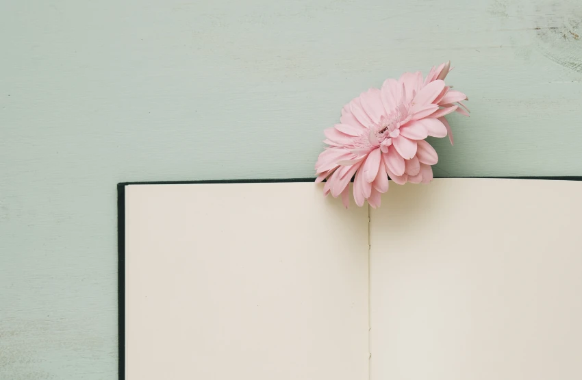 flor dentro de un libro