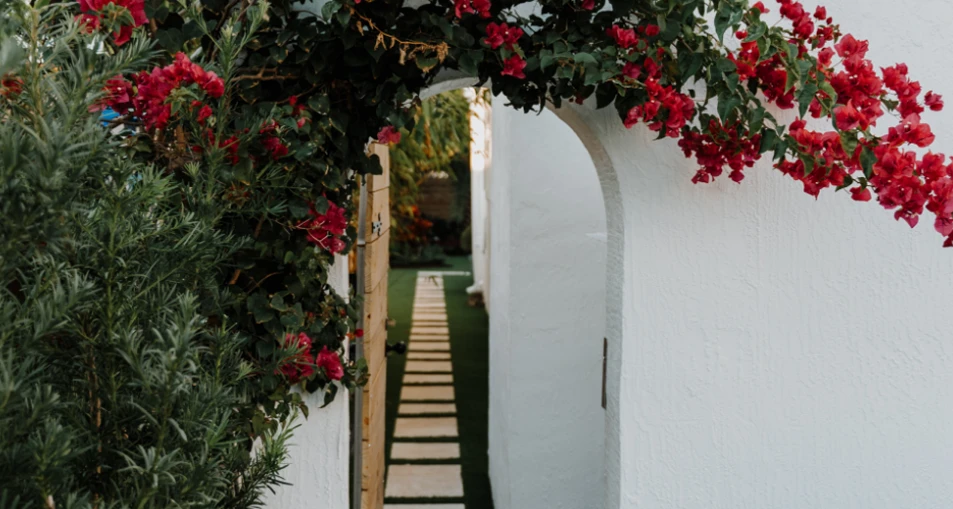 entrada de una casa adornada con flores rojas