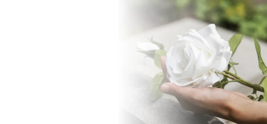 persona colocando una rosa blanca en una tumba