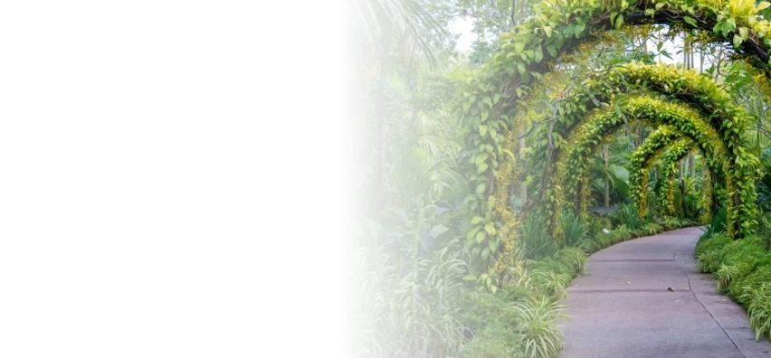 arcos realizados con vegetacion dentro de un parque