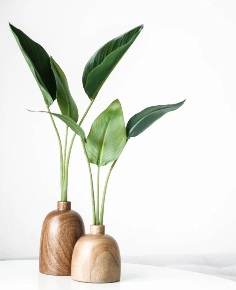 plantas en un florero de madera