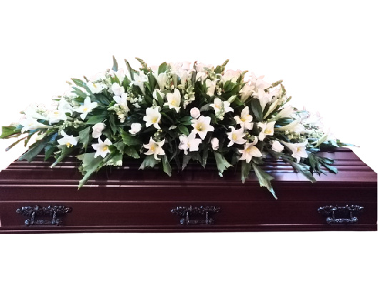 Cumbre Especial - SF-25