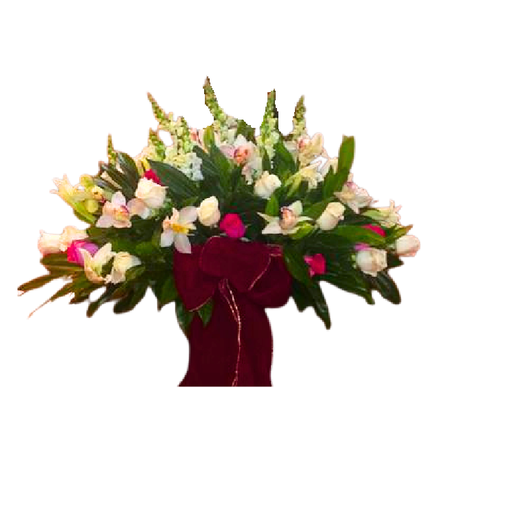 Encanto Natural - SF ECO-F-1