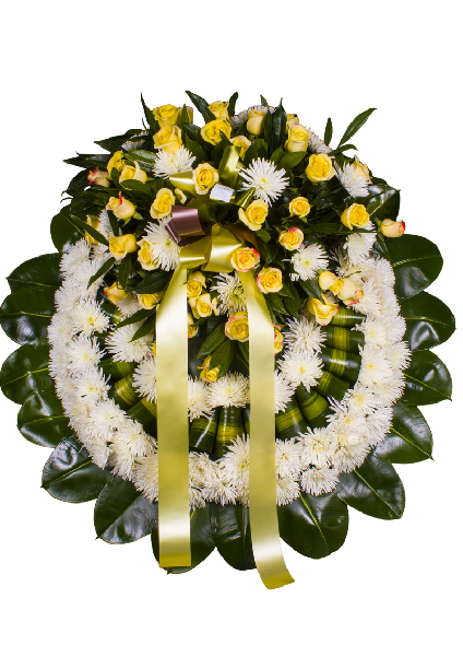 Espiritu Verde - SF24-3