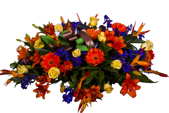 Fantasia Floral - SF-17