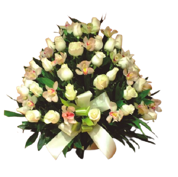 Fundamento de Rosas - SF7-3