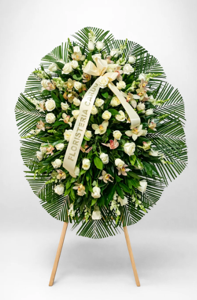 Fundamento Real- SF1-1