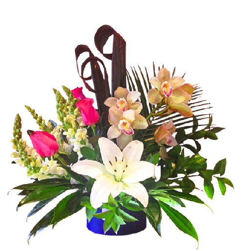 Gracia Divina - SFCON-1