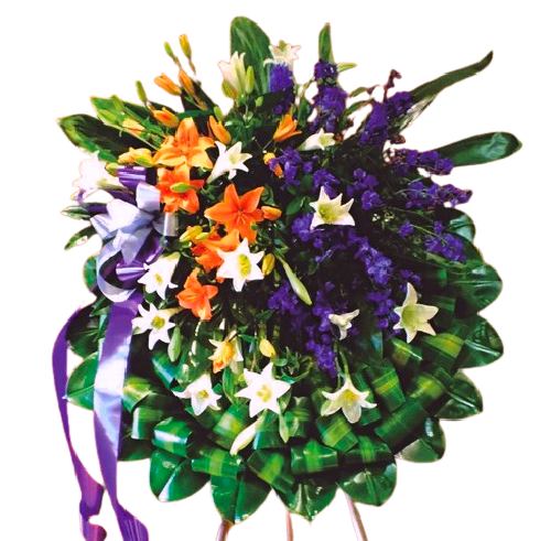 Homenaje de Paz - SF-82