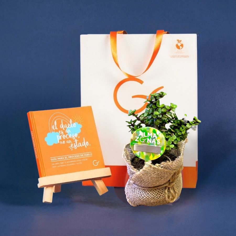 Kit guía del recuerdo