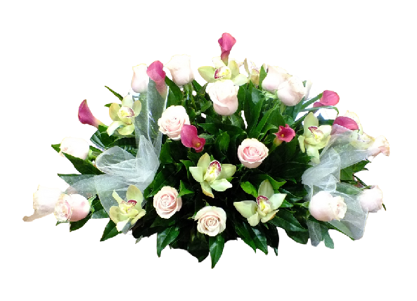 Recuerdo Celestial SF-NIÑA