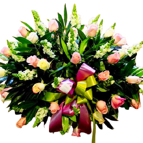 Silencio Noble- SF21-3