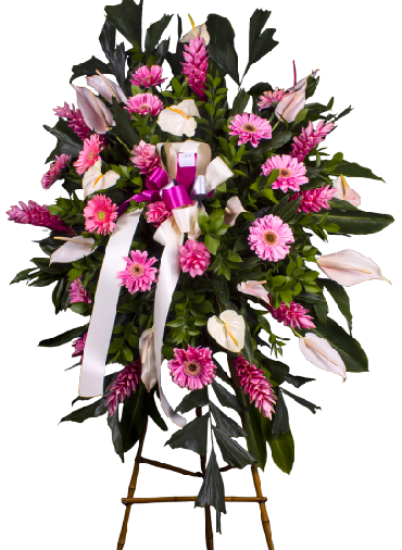 Trono Imperial - SF-40