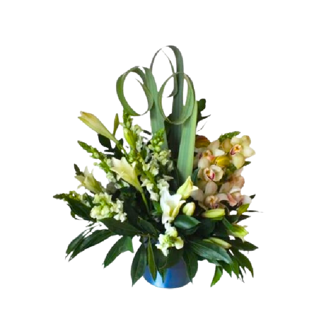 Trono Real - SF ECO-F-2