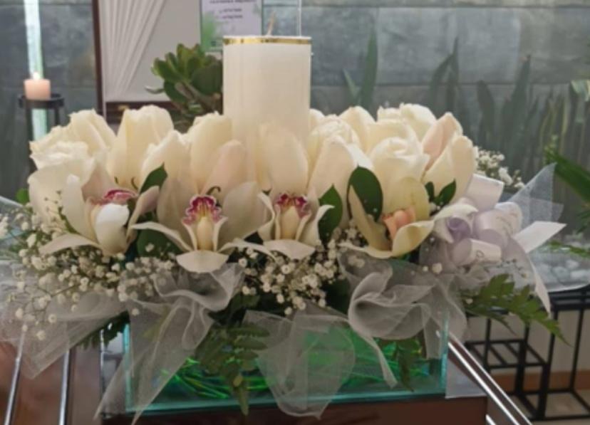luz-de-orquidea