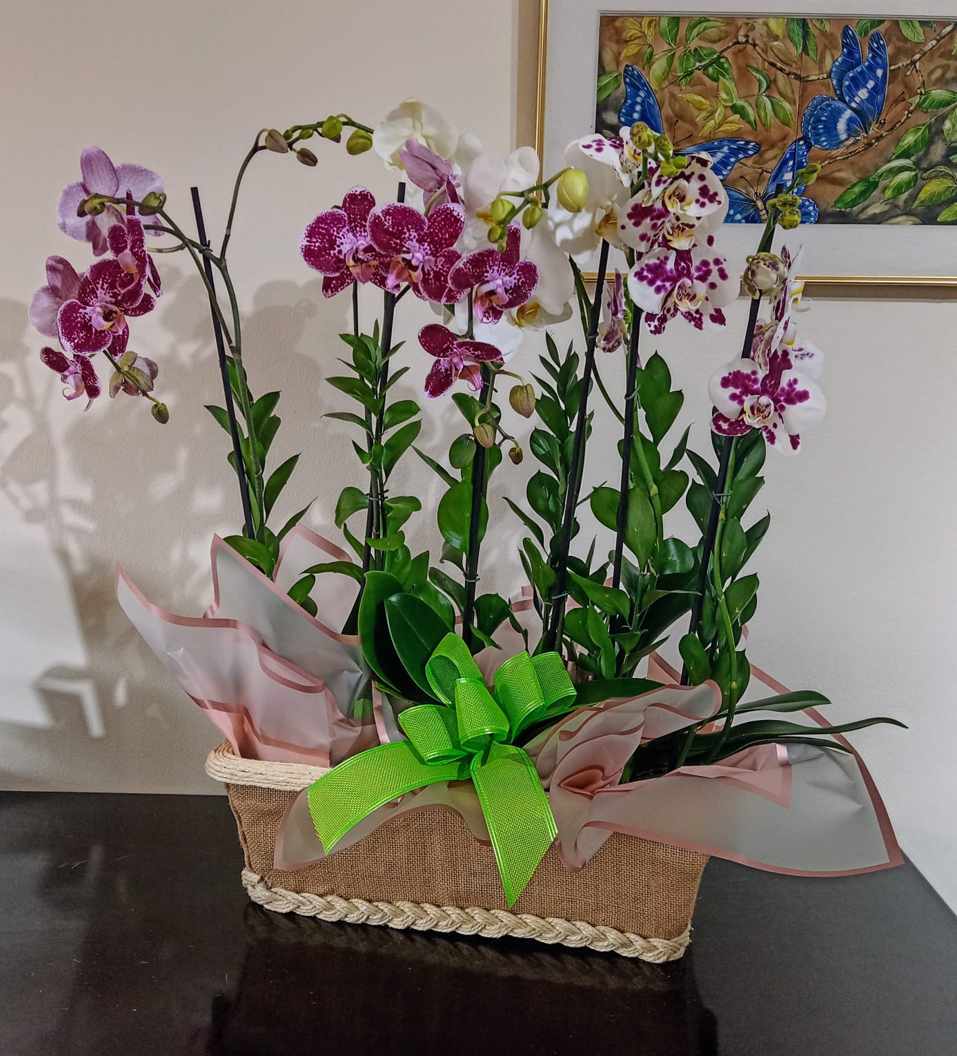 fantasia-de-orquidea