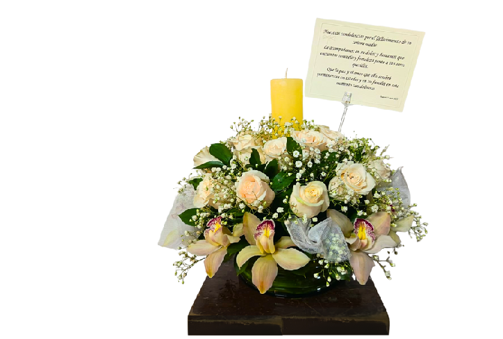 Luz de Orquídea -SF94