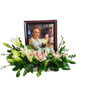 Legado Cardo SF-APORT