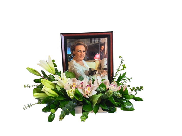 Legado Cardo SF-APORT