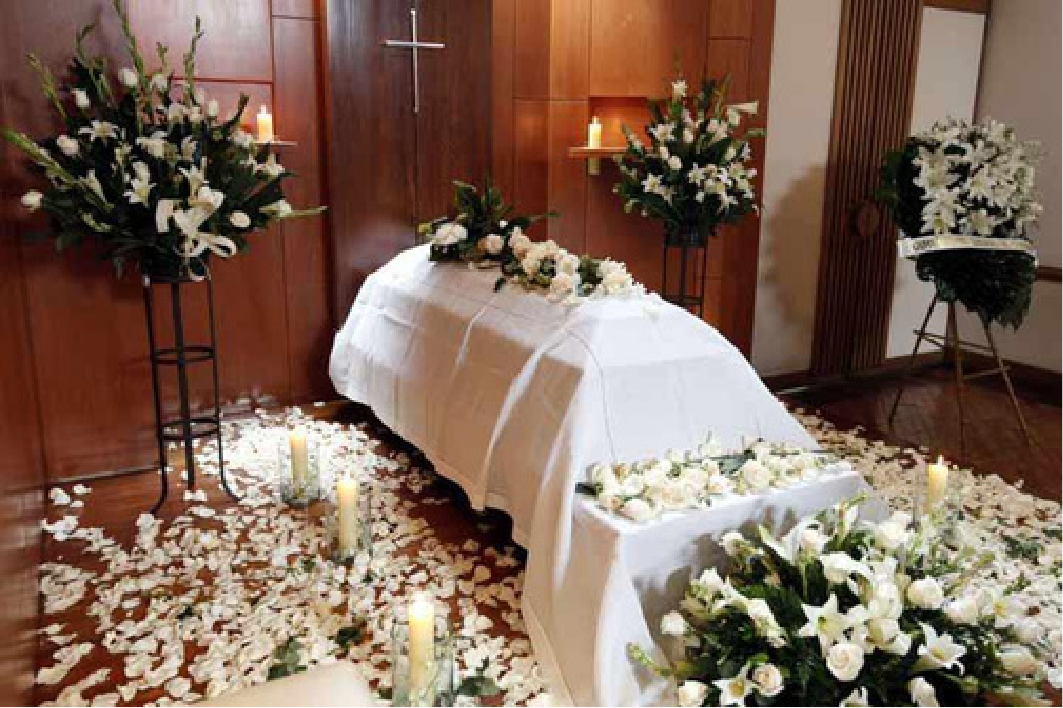 Petalos eternos SF10-6